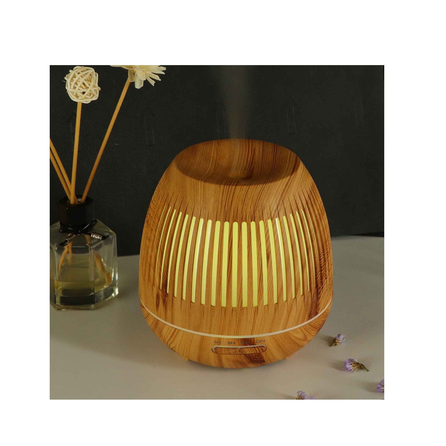 Aroma Diffuser and Humidifier with Remote Control