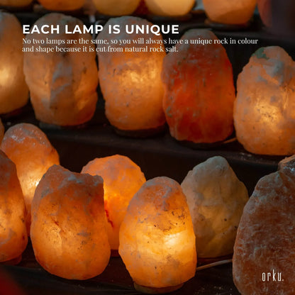Orku Himalayan Pink Salt Lamp Aroma Diffuser, 3 to 5kg